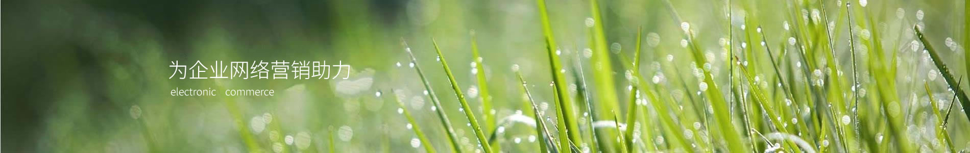 ֣֮ӿƼ޹˾